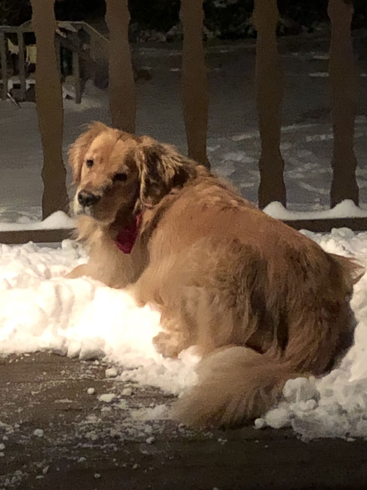 Murphy